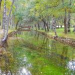 Serra da Estrela - Half-day off-road tour with cheese tasting - A Deep Dive into the Serra da Estrela Experience