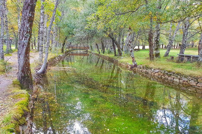 Serra da Estrela - Half-day off-road tour with cheese tasting - A Deep Dive into the Serra da Estrela Experience