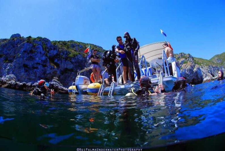 Sesimbra: Scuba Diving Experience for Beginners - Why Choose This Tour?