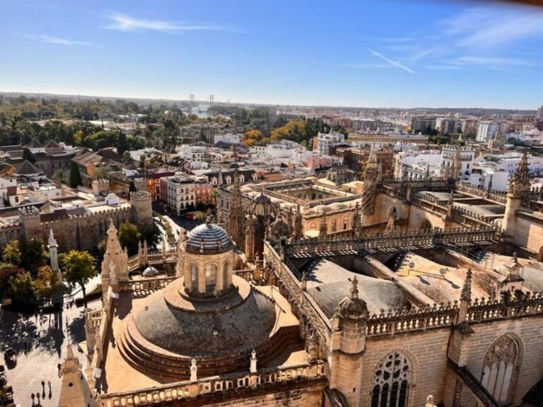 Sevilla: Alcazar and Cathedral Private Tour - Who Will Appreciate This Tour?