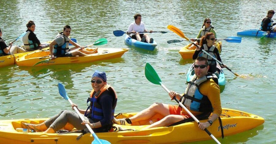 Seville: 2Hour Guadalquivir River Kayaking Tour - The Itinerary Breakdown