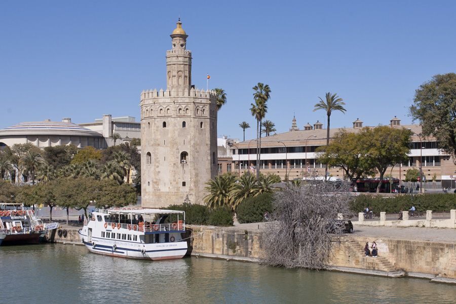 Seville 4-Hour Guided Walking Tour - Who Should Book This Tour