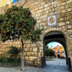 Seville: Alcazar, Cathedral, and Giralda Skip-the-Line Tour - An In-Depth Look at the Experience