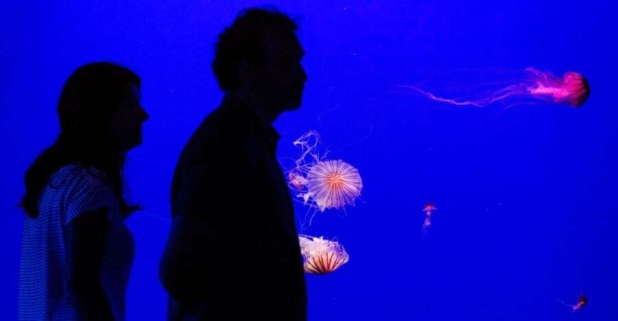 Seville Aquarium Admission Ticket - Who Should Consider Visiting the Seville Aquarium?