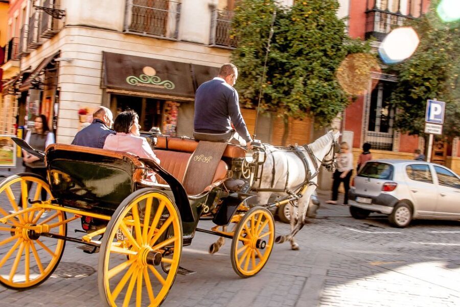 Seville: Authentic and Romantic Horse-Drawn Carriage Ride - Practical Details and Tips