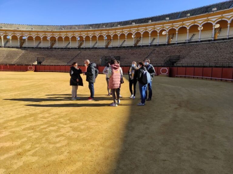 Seville: Bullring Guided Tour with a Skip-the-Line Ticket - A Deep Dive into the Bullring Experience