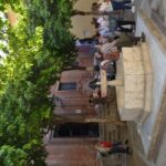 Seville: Cathedral Guided Tour w/ VR City Tour & Roof Lunch - In-Depth Review of the Experience