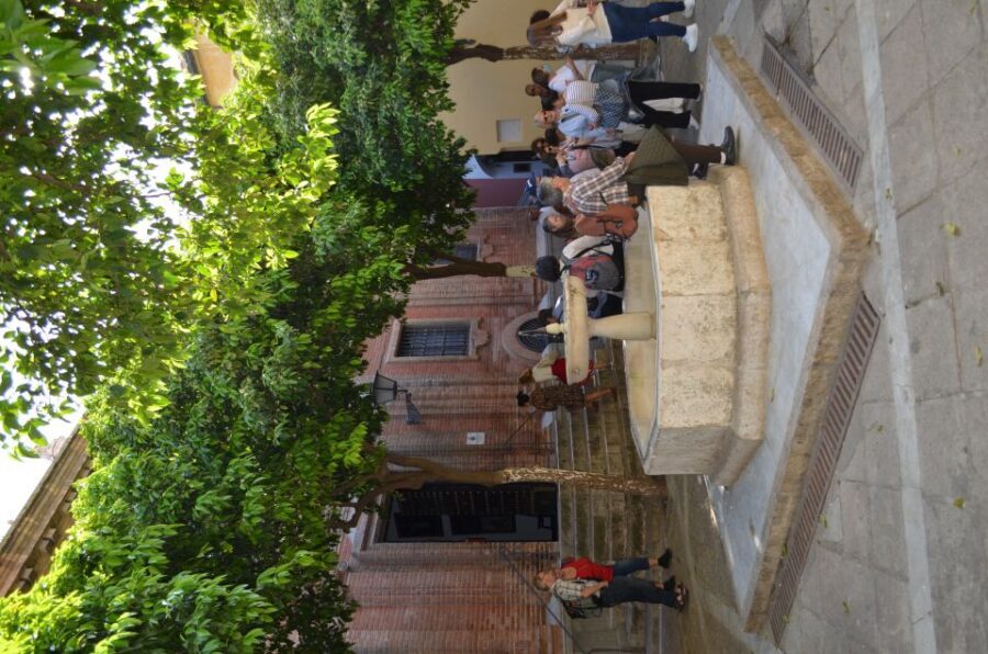 Seville: Cathedral Guided Tour w/ VR City Tour & Roof Lunch - In-Depth Review of the Experience