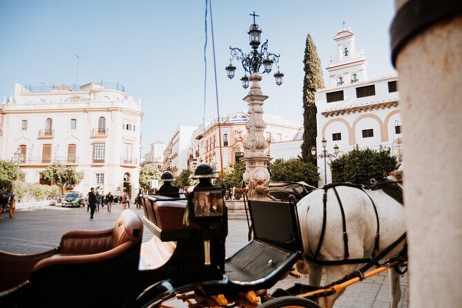 Seville City Exclusive Guided Tour - What Travelers Say: Authentic Perspectives