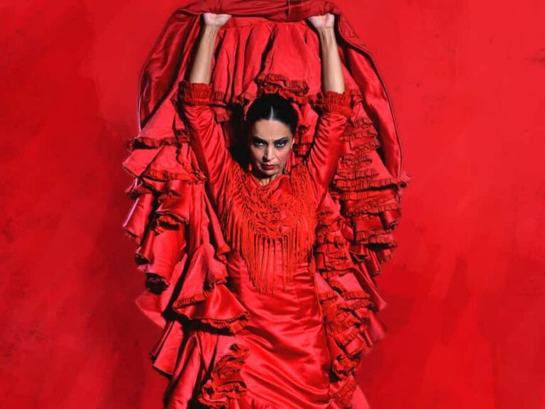 Seville: Flamenco Dance Class for Beginners at the Teatro Flamenco - An In-Depth Look at the Flamenco Dance Class Experience