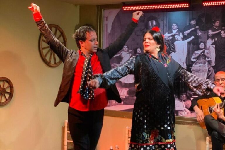 Seville: Flamenco Show at Tablao La Cantaora - The Performers and Artistic Quality