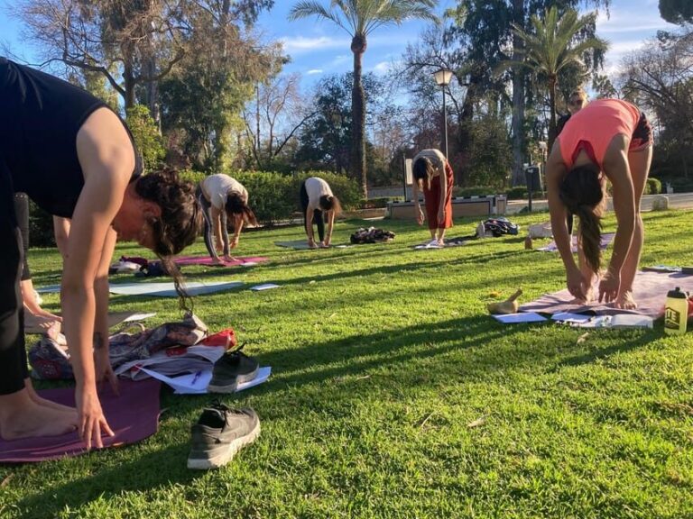 Seville: Group Yoga classes All levels - in French - The Sum Up