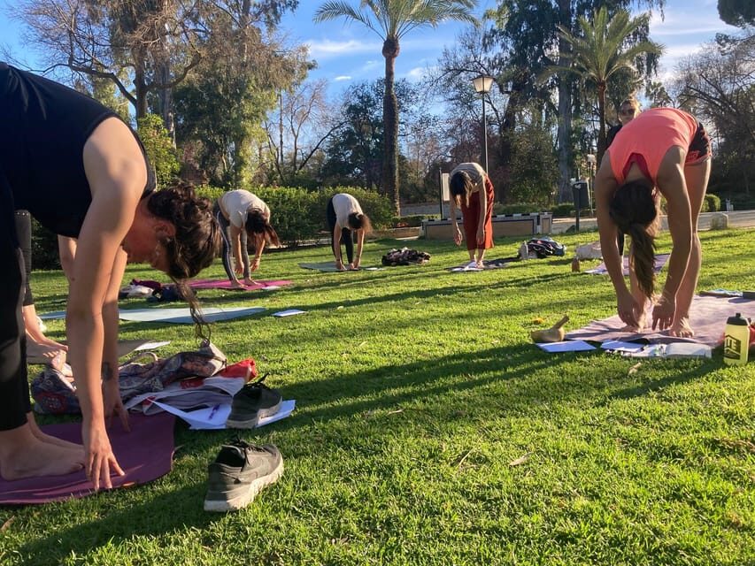 Seville: Group Yoga classes All levels - in French - The Sum Up