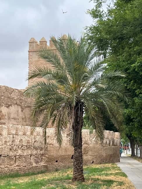 Seville: Guided Dutch Walking Tour with a Local - A Deep Dive into the Seville Guided Walking Tour