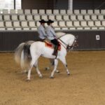 Seville: Horse's Show Entry Ticket. Optional Stud Farm Visit - Who Would Love This Tour?