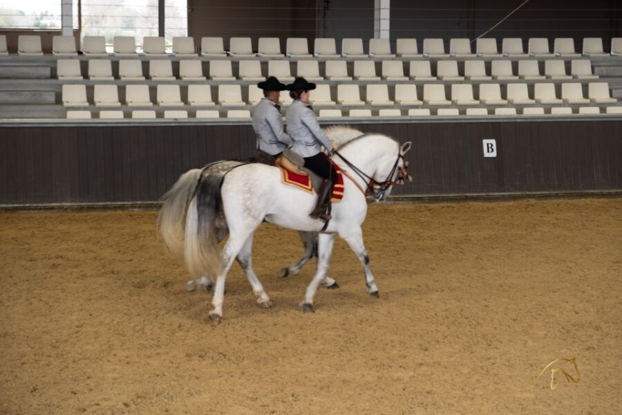 Seville: Horse's Show Entry Ticket. Optional Stud Farm Visit - Who Would Love This Tour?