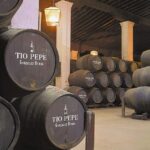 Seville: Jerez, Cadiz Wine Tasting with Optional Horse Show - Detailed Breakdown of the Itinerary