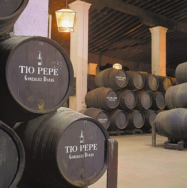 Seville: Jerez, Cadiz Wine Tasting with Optional Horse Show - Detailed Breakdown of the Itinerary