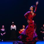 Seville: Live Flamenco Dancing Show Ticket at the Theater - What to Expect from the Flamenco Show in Seville