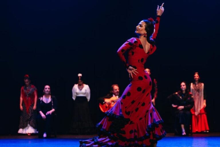 Seville: Live Flamenco Dancing Show Ticket at the Theater - What to Expect from the Flamenco Show in Seville