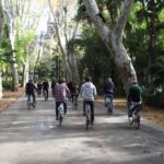 Seville: María Luisa Gardens 3Hour Tour with Picnic Lunch - An Honest Look at the Value