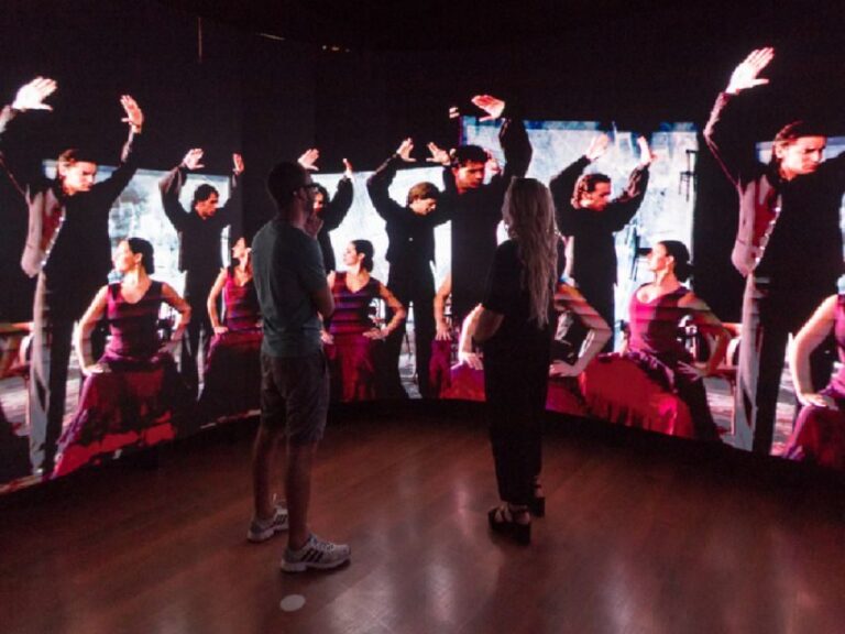 Seville: Museum of Flamenco Dance Admission Ticket - An In-Depth Look at the Museum Experience