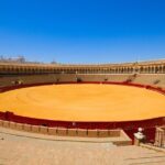 Seville Paddle Surf Sup in the Guadalquivir River - What to Expect on the Water