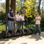 Seville: Panoramic Segway Shared or Private Tour - Final Thoughts