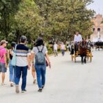 Seville: Royal Alcazar & Highlights of Seville Walking Tour - Why This Tour Stands Out
