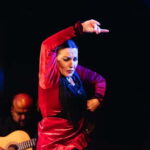 Seville: Tapas Walking Tour with Traditional Flamenco Show - What You Can Expect: Practical Details