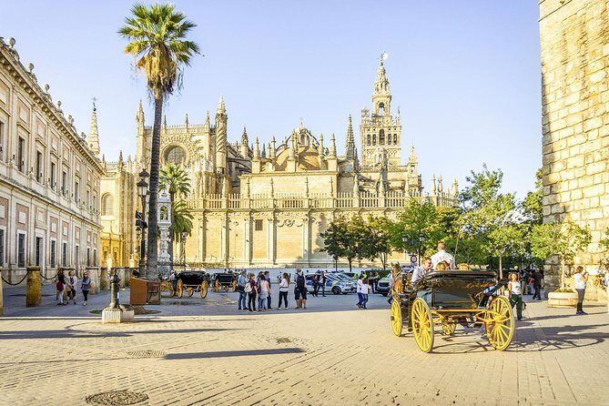 Seville Tour with Alcazar, Cathedral and Giralda from Granada - Authentic Experiences and Practical Details