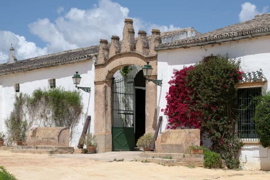 Seville: Visit Bodegas Góngora - Practicalities and Tips for Your Visit