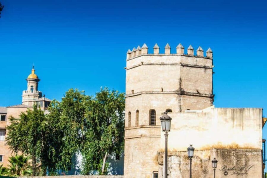 Seville: Womens History Walking Tour - The Sum Up