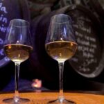 Sherry Experience in the Vineyard - What to Expect During the Tour