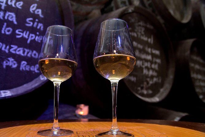 Sherry Experience in the Vineyard - What to Expect During the Tour