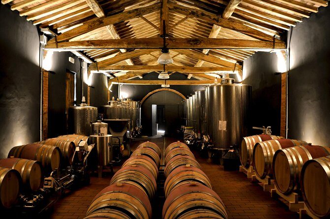 Siena: A Wine Tour and Tasting Experience - Who Will Love This Tour?