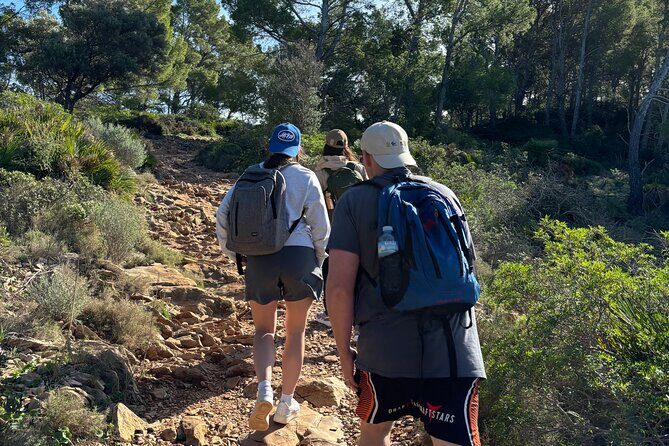 Sierra de Tramuntana hike with transportation and small picnic - A Deep Dive into Mallorca’s Mountain Beauty