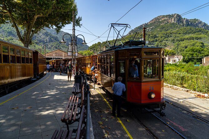Sierra Tramuntana: Mountain Tops and Cosy Villages - Who Will Love This Tour?
