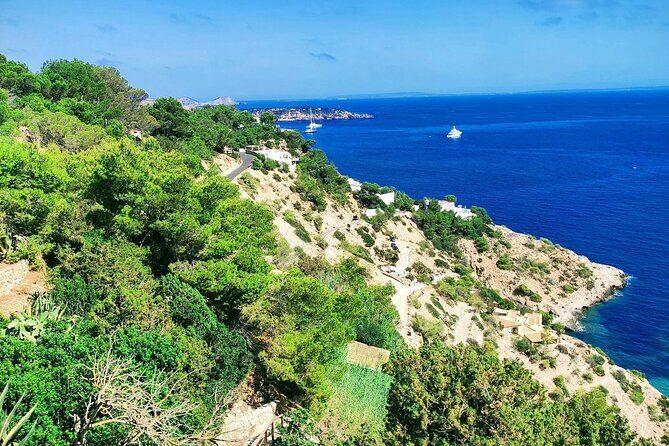 Sightseeing Day Trip along the South West Coast of Ibiza ES Vedra - Who Will Love This Tour?