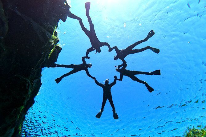 Silfra Drysuit Snorkeling Tour with Free Photos - From Reykjavik - Who Will Love This Tour?