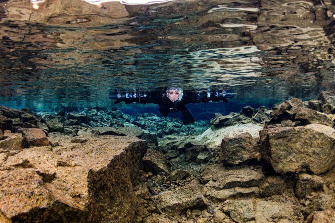 Silfra: Snorkeling Between Tectonic Plates Pick Up from Reykjavik - What Makes This Tour Stand Out?
