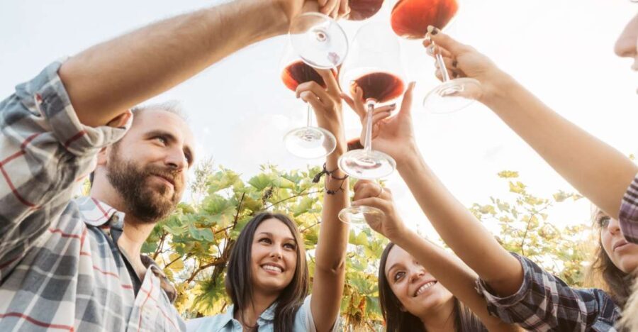 Silves: Algarvian Winery Tour and Tasting Experience - The Itinerary: What to Expect on the Tour