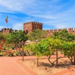 Silves and Monchique Wine Taste Premium - Private> VTours Algarve - What’s Included and What to Expect
