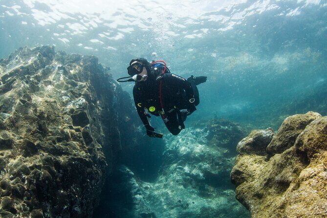Single Scuba Try-Dive in Puerto del Carmen - small groups - 2 hours - How Valuable Is This Experience?
