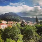 Sintra with a Local - HALF DAY -Pena & Regaleira & Cabo da Roca - Who Will Enjoy This Tour?