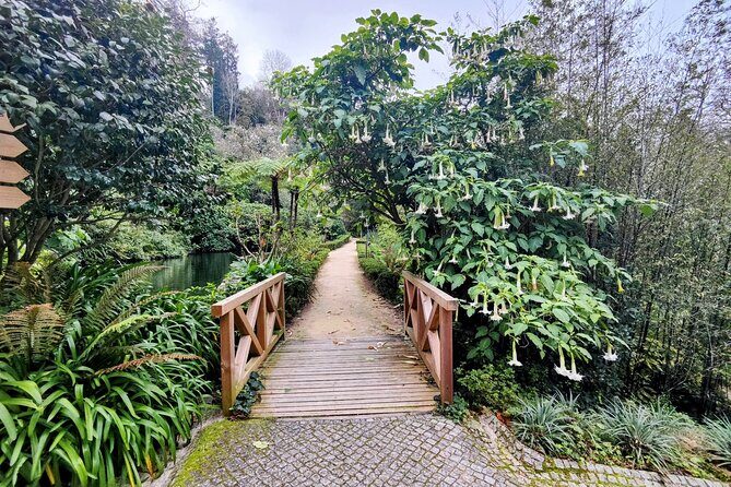 Sintra's Mystical Palaces: Private Walking Tour - Final Thoughts