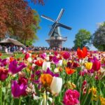 Skip-the-Line Keukenhof Gardens and Tulip Fields Tour from Amsterdam - In-Depth Look at the Keukenhof Gardens Tour