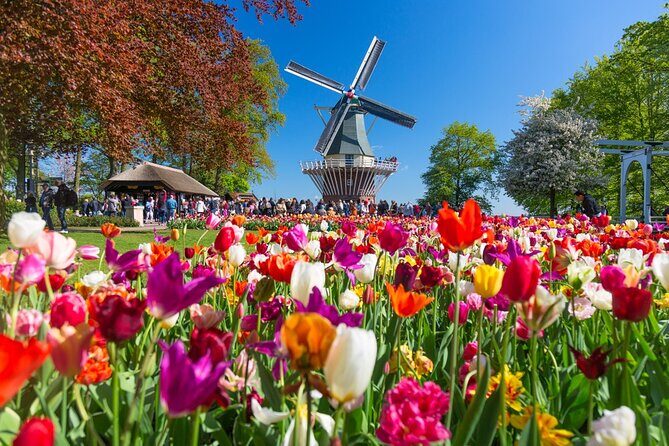 Skip-the-Line Keukenhof Gardens and Tulip Fields Tour from Amsterdam - In-Depth Look at the Keukenhof Gardens Tour