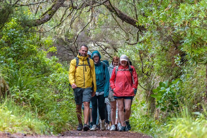 Skywalk 4x4 Experience and Rabacal 25 Fountains Levada Walk - The Sum Up