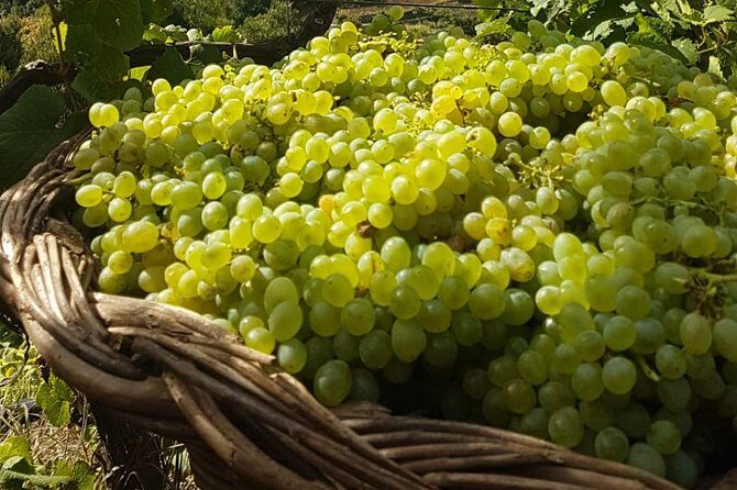 Skywalk with Wines Tasting and Vineyards Half day 4x4 Adventure - Final Thoughts